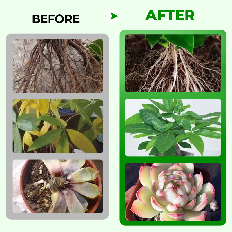🌱💯💪Pro Grade All-Purpose Liquid Fertilizer Concentrate
