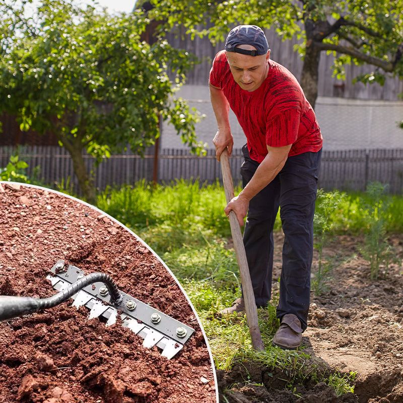 🔥Hot Sale🔥5/6/7/8 Teeth Carbon Steel Garden Weeding Rake