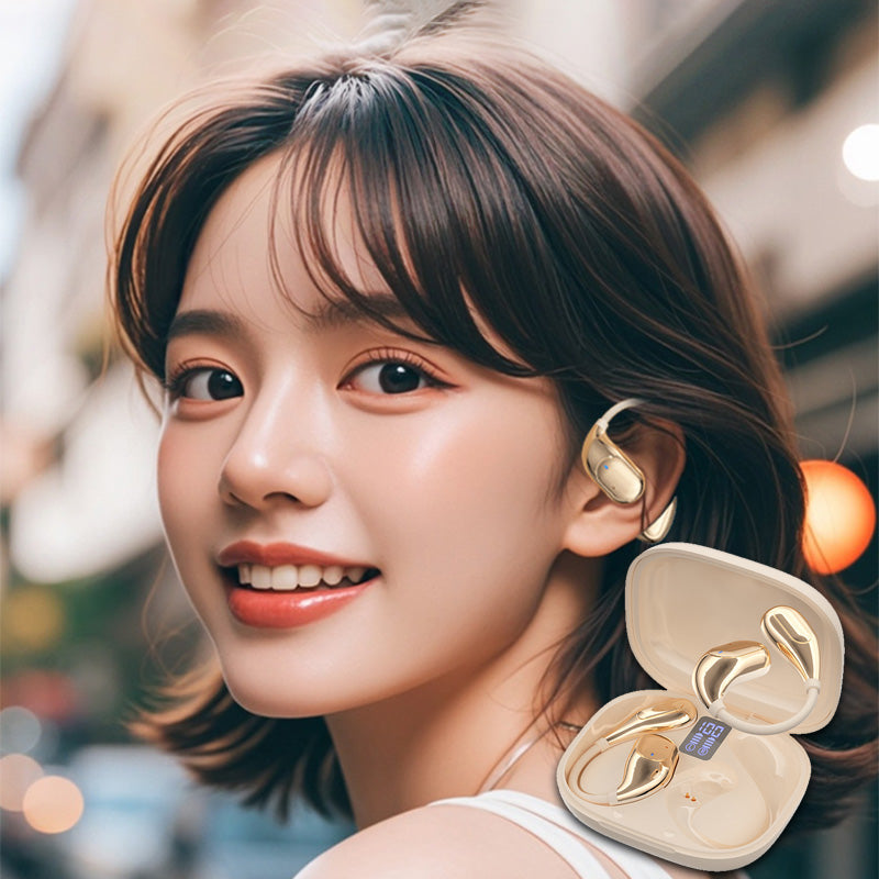 🔥50%OFF hot Sale🔥HiFi Waterproof Ear-Hook Bluetooth Headphones 🔥Buy 2 - Free Shipping