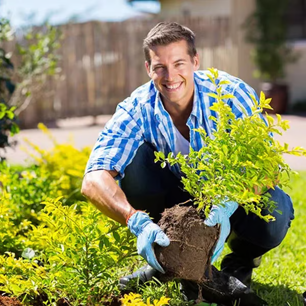 🔥Limited Sale - BUY 2 GET 1 FREE🔥Soil Improvement Loosening Agent
