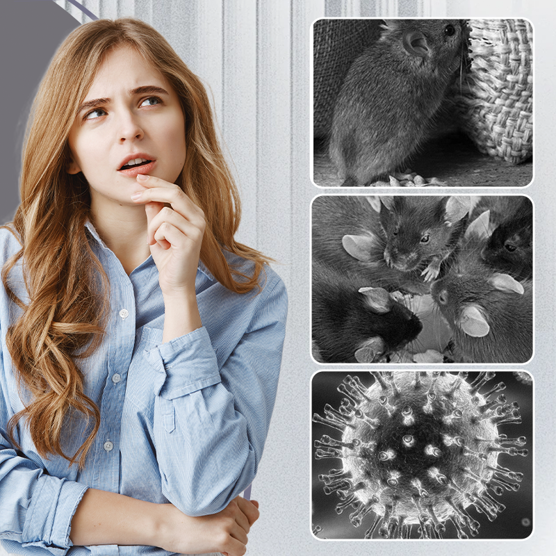 🔥Limited-time offer-Extra Large Rat Glue Trap Pads