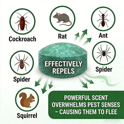🏠 BUY 2 GET 1 FREE! 🛡️ All‑Pest Repellent – Safe for pets & wildlife – No poisons, just effective – use indoors & out for peace of mind 🐾✅