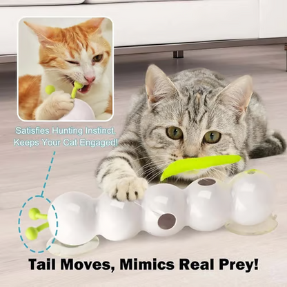 New💥2025 Hot Sale!🐛Interactive Electric Caterpillar Cat Toy