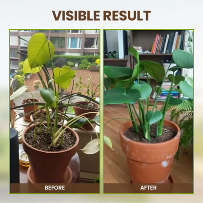 🔥Limited Sale - BUY 2 GET 1 FREE🔥Soil Improvement Loosening Agent