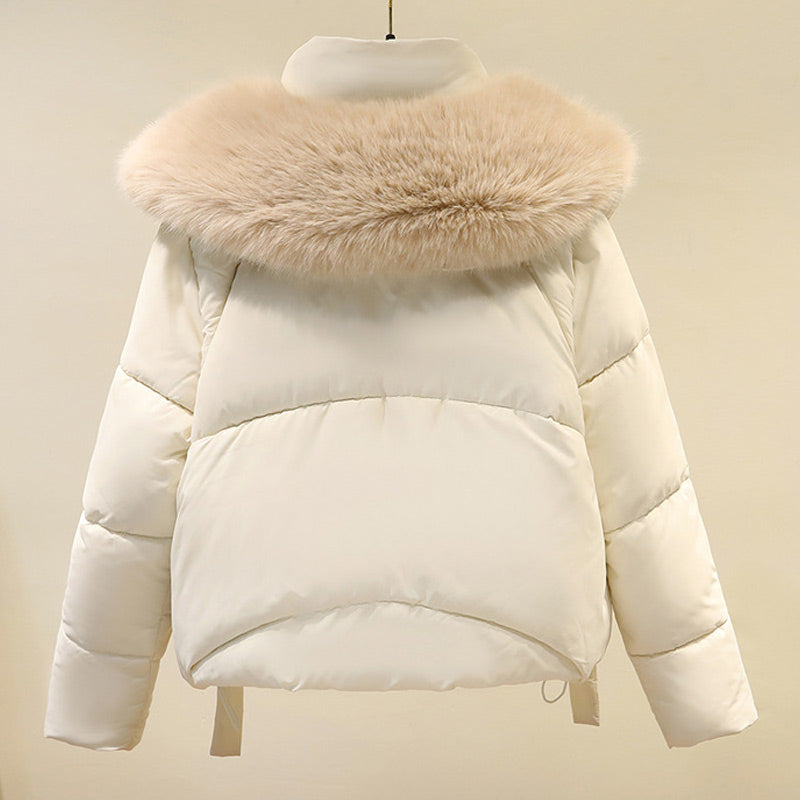 Women's Warm Full-Zip Short Jacket with Puffy Collar