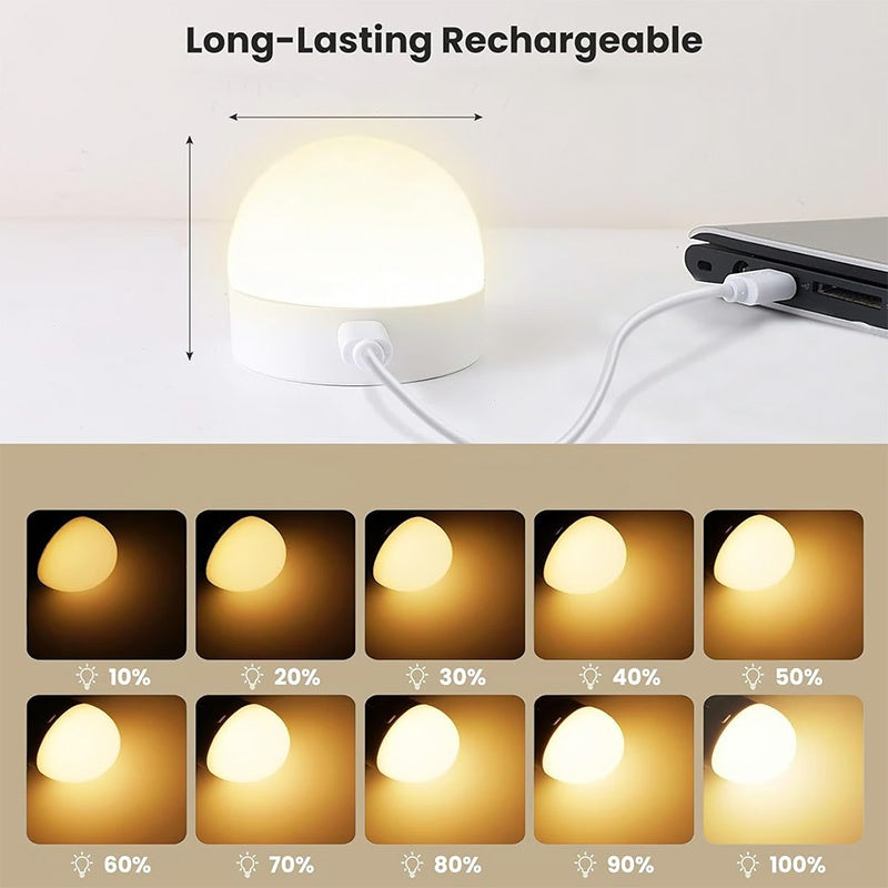 Rechargeable Light Bulbs with Remote Control