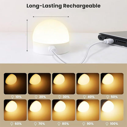 Rechargeable Light Bulbs with Remote Control