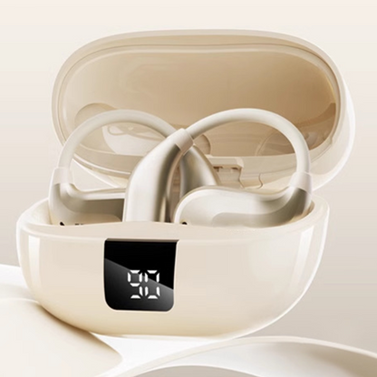 All-in-1 Portable Translation Earbuds