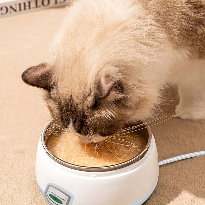 Safe Electric Heated Pet Food & Water Bowl