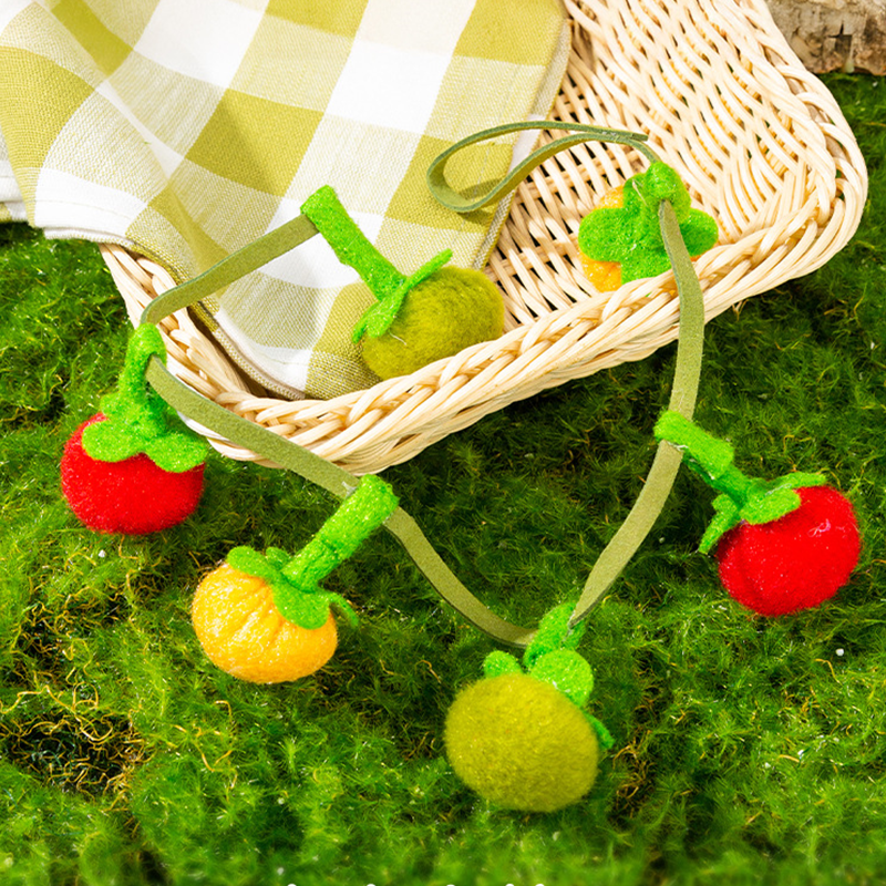 📢📢HOT SALE !!!✨Interactive Fruit-Shaped Catnip Toy String