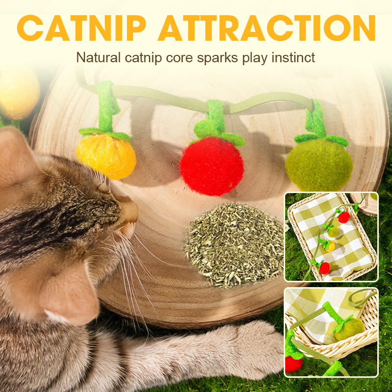 📢📢HOT SALE !!!✨Interactive Fruit-Shaped Catnip Toy String