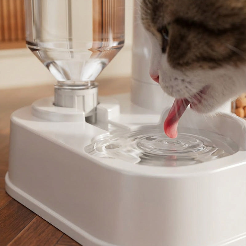 🔥Limited-time offer-2-in-1 Automatic Pet Feeder & Water Dispenser