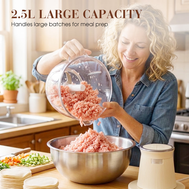 Electric Meat Grinder with 2.5L Glass Bowl