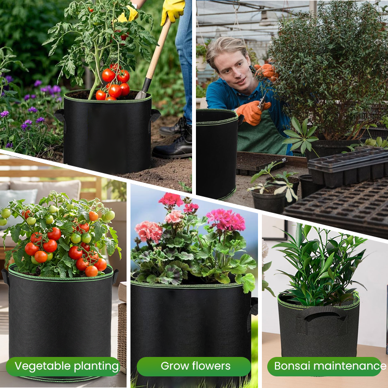 🔥Limited-time offer-Thickened Non-Woven Grow Bag with Handles