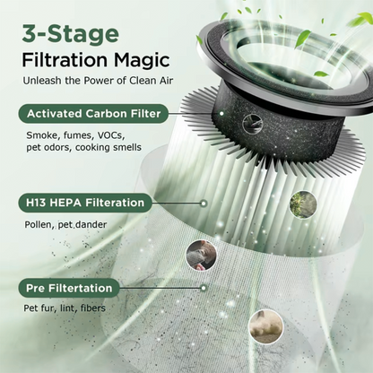 Air Purifier for Home
