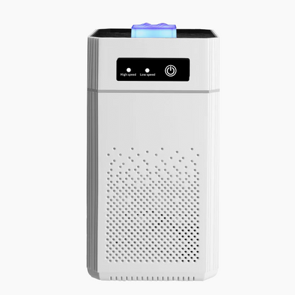 Air Purifier for Home