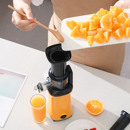 Cordless Cold Press Juicer Machine