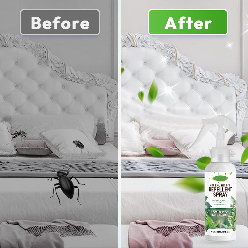 🔥Hot Sale 49% 0FF🔥Herbal Insect Repellent Spray