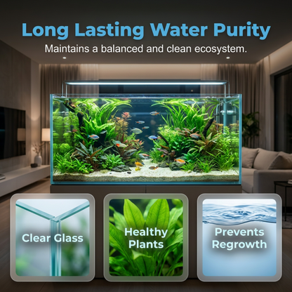 🏆LAST DAY SALE 50% OFF🔥Rapid Action Algae Remover for Aquariums