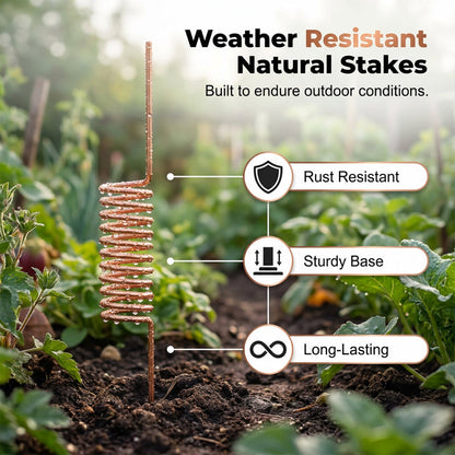 🔥Limited-time offer-Copper Spiral Antenna Plant Stakes