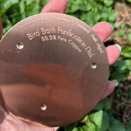 🔥Limited-time offer-Natural Algae Inhibitor for Bird Baths & Fountains