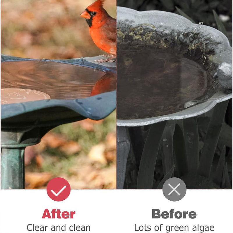 🔥Limited-time offer-Natural Algae Inhibitor for Bird Baths & Fountains