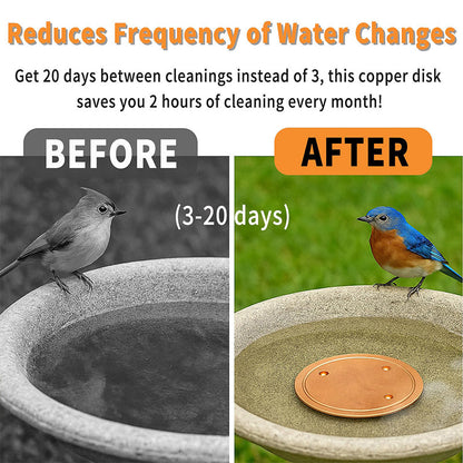 🔥Limited-time offer-Natural Algae Inhibitor for Bird Baths & Fountains