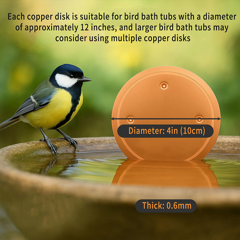🔥Limited-time offer-Natural Algae Inhibitor for Bird Baths & Fountains