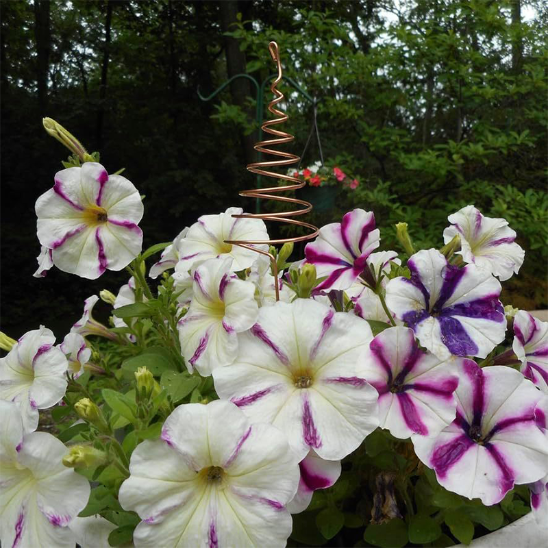 Electroculture Copper Gardening Antenna