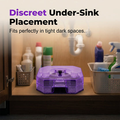🥳2026 HOT SALE🥳💞50K+ SOLD!♻️ Reusable Roach Trap – Physical capture, no toxic sprays. One‑way doors, easy to check & clean. Safe for homes with kids & pets! 🏠✨
