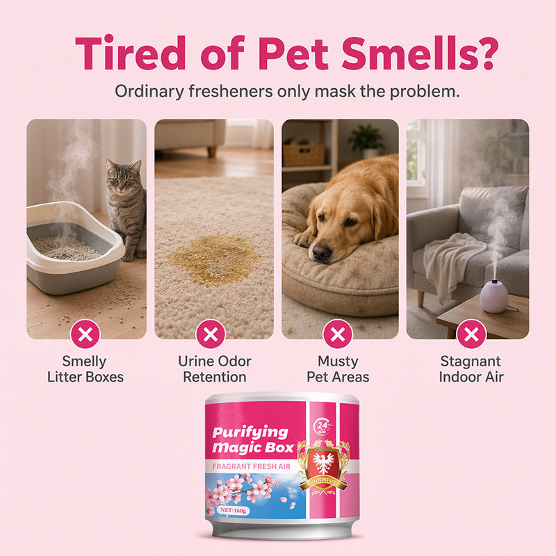 ⌛Last Day of the “Buy 2, Get 1 Free” OfferPet Odor Eliminator Gel 160g Purifying Magic Box